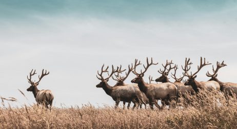 hari-nandakumar-6tGANJJC7lg-unsplash